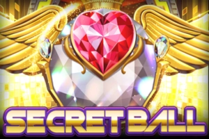 02690 secret ball